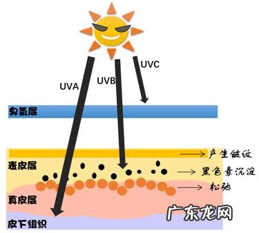紫外线分为哪三种,紫外线照猫藓是什么颜色