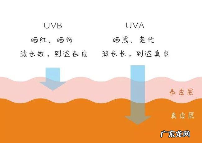 紫外线分为哪三种,紫外线照猫藓是什么颜色