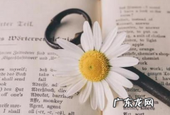 例如的英文 英文是什么,倒车的英文单词是什么