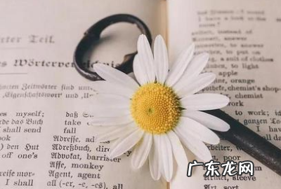 例如的英文 英文是什么,倒车的英文单词是什么