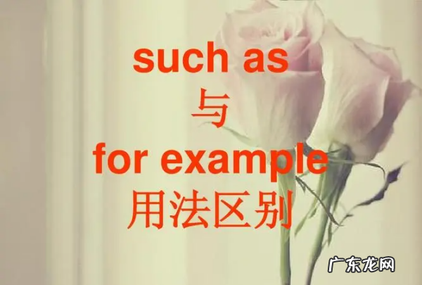 例如的英文 英文是什么,倒车的英文单词是什么