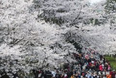 珞珈山的由来,珞珈山名字的由来