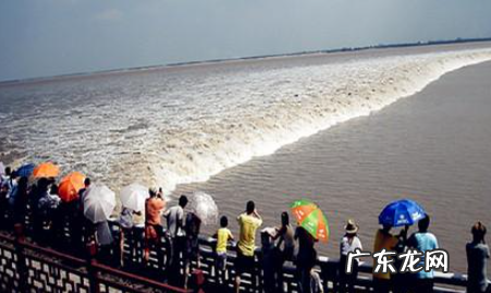 中秋节的习俗有什么,中秋节的习俗