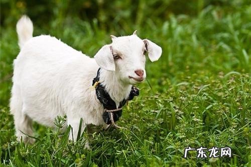 阳的寓意和象征,阳字五行属什么寓意如何