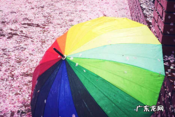 碰击布是什么材质,碰击布是什么面料