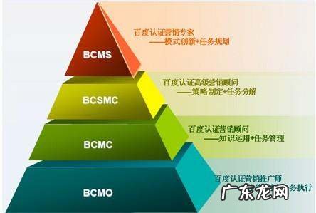 人才素质的基本内容是什么,创新人才的素质包括哪些