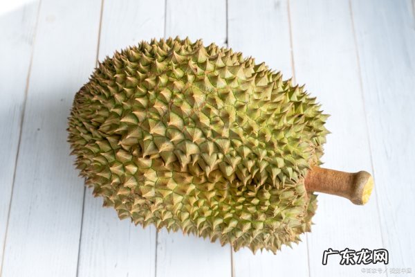 母榴莲长什么样子,母榴莲的特征