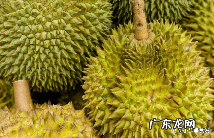 母榴莲长什么样子,母榴莲的特征