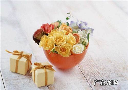 棉婚是第几年,棉婚是几年