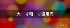 大一寸和小一寸通用吗 大一寸和一寸通用吗