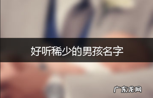 好听稀少的男孩名字,男孩好听稀少的名字兔宝宝