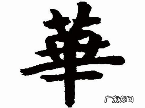 华的寓意名字,若华名字的意思是什么