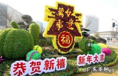 关于绿色春节的内容,有关绿色的作文600字