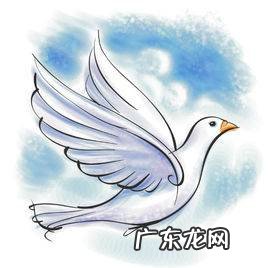 责任心包括哪四个方面,责任心体现在哪些方面