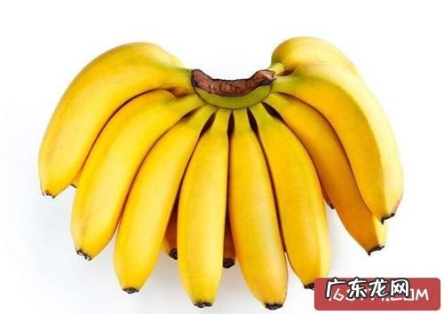 香蕉的种类大约有多少种,香蕉有什么品种 香蕉的种类有哪些