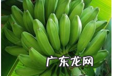香蕉的种类大约有多少种,香蕉有什么品种 香蕉的种类有哪些