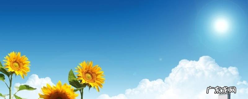 夏天5种自然现象 夏天5种自然现象教学视频