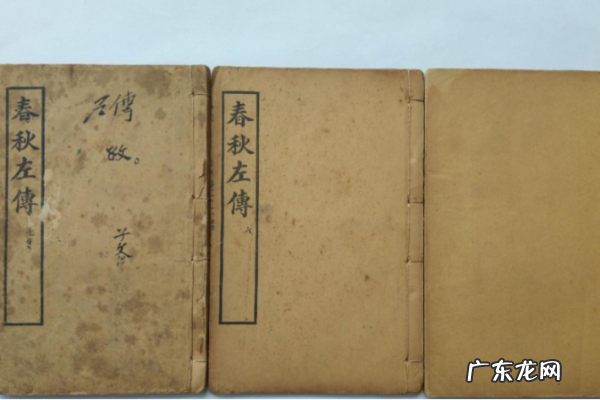 勇的寓意和象征,勇的意思和含义是什么