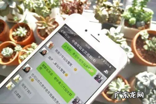 高雅精致的群名称,十一个人的群名 高雅有涵养的群名叫什么