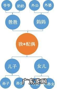 非直系亲属包括哪些人,爷爷是直系亲属关系