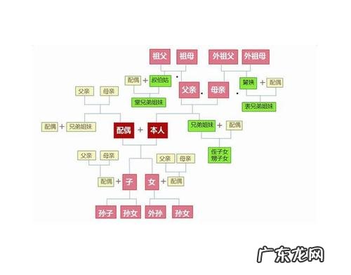 非直系亲属包括哪些人,爷爷是直系亲属关系