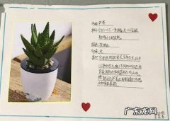 仙人掌记录卡怎么写,我的植物朋友仙人掌怎么写作文300个字以上