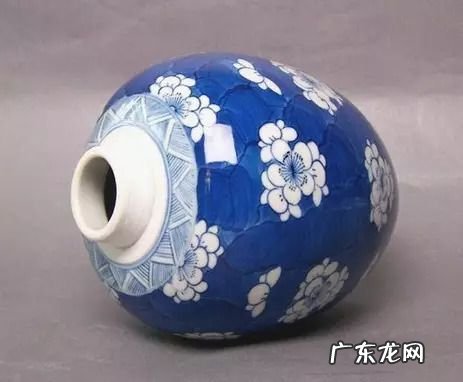 冰梅的寓意是什么,冰莓多肉的花语