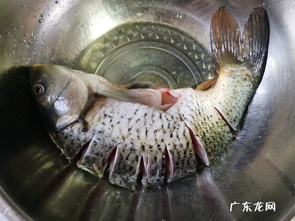 红烧鲤鱼怎么做法,红烧鲤鱼最简单的做法窍门