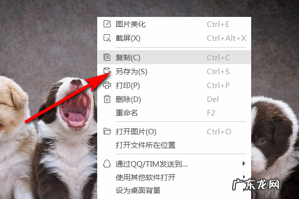 照片如何改成jpg格式,怎样把转换为数字的格式调整成过来