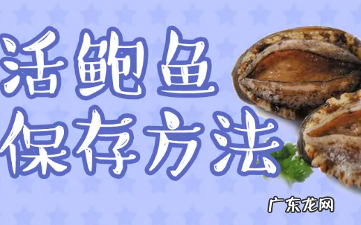 鲍鱼保存方法,鲍鱼如何长时间存放