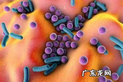 4碳呼气试验是什么,碳4是什么意思