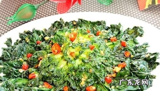 菊花菜的做法,菊花菜怎么样做好吃
