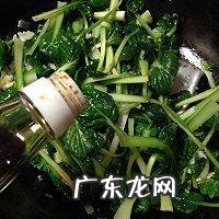 菊花菜的做法,菊花菜怎么样做好吃