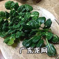 菊花菜的做法,菊花菜怎么样做好吃