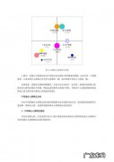 人群分类指的是什么,人群分类填写什么内容学生