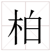 柏怎么读拼音怎么写,柏的读音是什么意思是什么