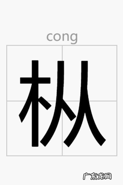 柏怎么读拼音怎么写,柏的读音是什么意思是什么