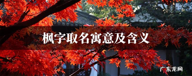 宸枫名字的寓意,腰金衣紫入枫宸是什么意思