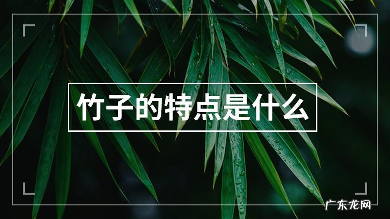 竹子的气味是什么味的,花香与竹香哪个挥发的快些