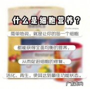 养pm是什么意思,什么是pin码