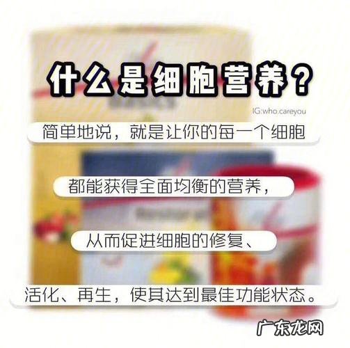 养pm是什么意思,什么是pin码