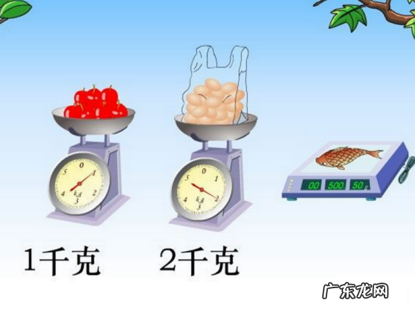 超市里哪些物品用千克作单位,超市千克的东西有哪些物品