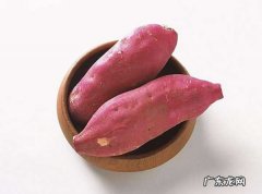红薯如何发芽快,红薯怎么能快速发芽