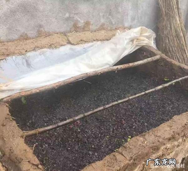 红薯如何发芽快,红薯怎么能快速发芽