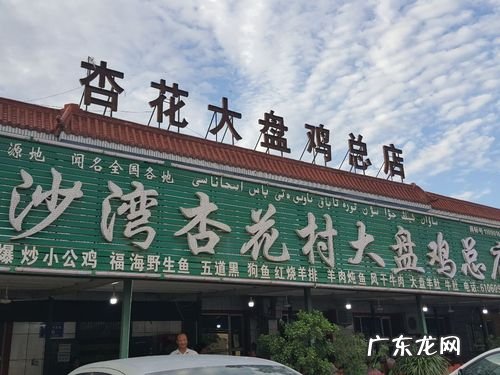 大盘鸡发源地,新疆大盘鸡最早属于汉族还是回族的特色菜