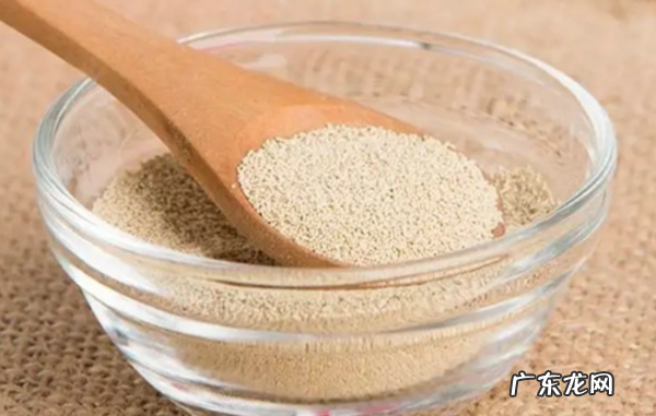 蒸馍发面怎么发,蒸馒头如何发面的方法窍门