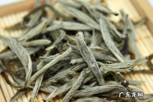 白茶的发源地,白茶发源地