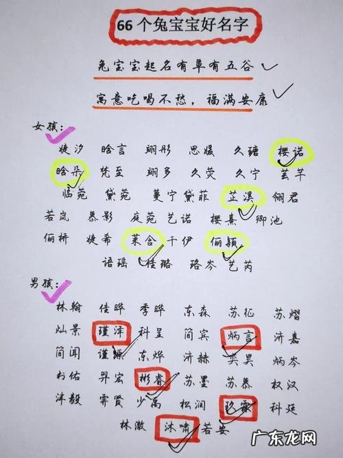 茉晗名字的寓意,孙语茉和孙睿晗哪个名字好听
