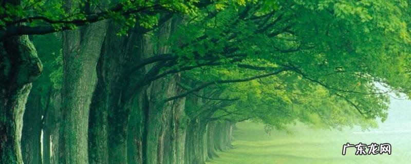 承德防火期是几月份到几月份 防火期是几月份到几月份