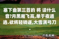 单于夜遁逃怎么读,单于夜遁逃的上一句诗是什么意思